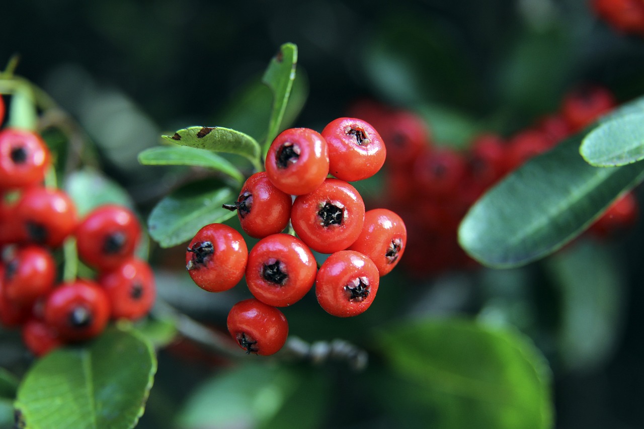 马克西连续21场砍下20+，追平艾弗森并列队史第二